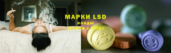 стафф Горняк