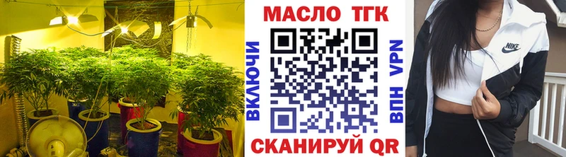 магазин продажи наркотиков  Елизово  Дистиллят ТГК жижа 