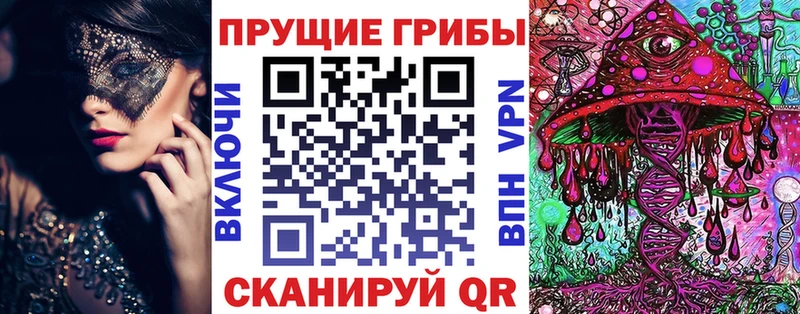 даркнет сайт  Елизово  Галлюциногенные грибы Psilocybe 