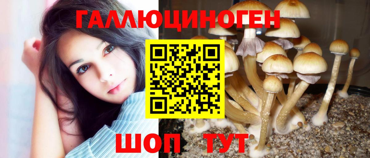 Псилоцибиновые грибы мицелий  Псилоцибиновые грибы Magic Shrooms  Вход с VPN  Елизово 